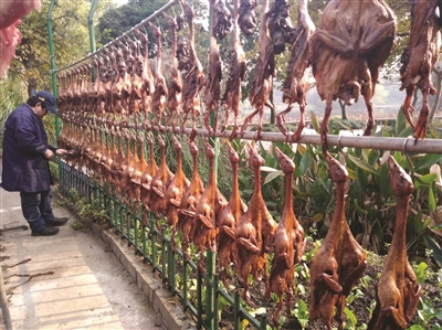 除了打霜的蔬菜即将上桌，杭州人的酱鸭也开始晒起来了。 