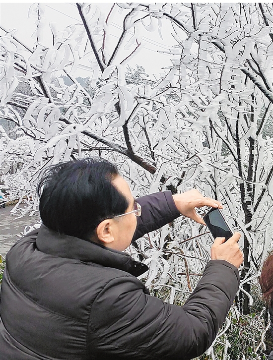 1月6日，杭州市富阳区里山镇安顶山上出现雾凇景观。 黄曙林 摄