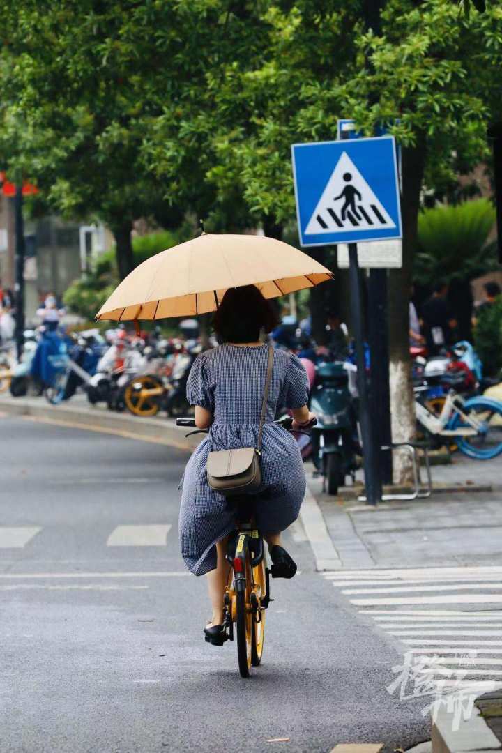 朝晖路,一位市民打伞骑车经过,橙柿互动记者 夏阳摄