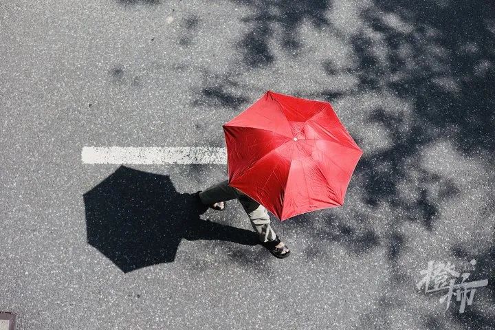 阳光下,市民打伞经过.橙柿互动记者 夏阳