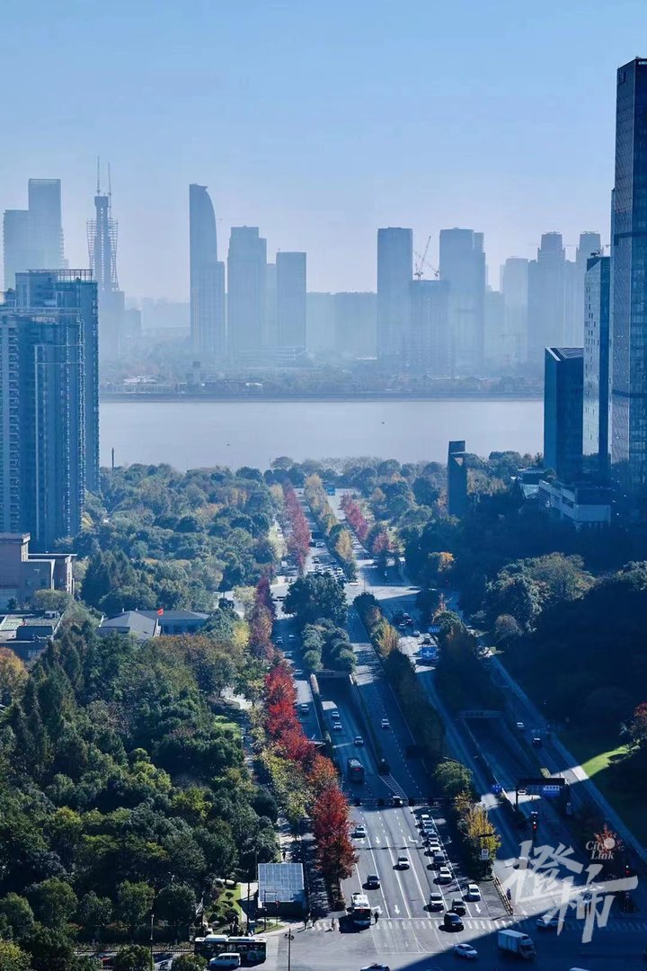 阳光下的庆春路,橙柿互动记者夏阳摄