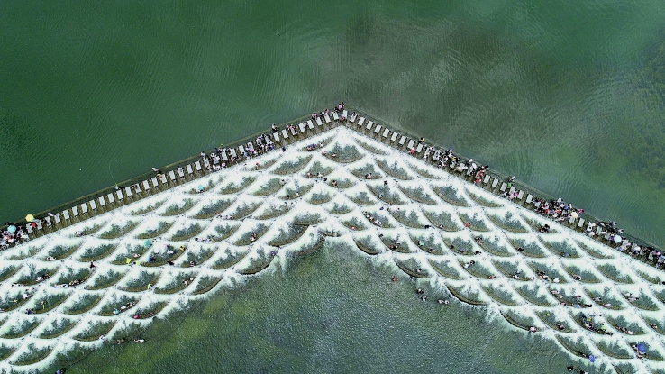 9192058_kbfzg2_1655998236063.jpg 9192058_kbfzg2_1655998236063.jpg