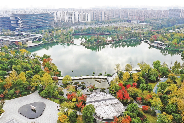 杭州丰收湖公园图片