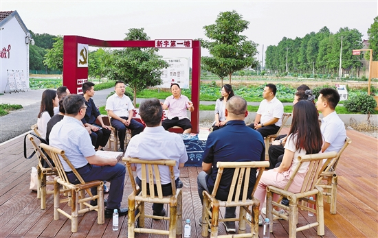 在临平新宇村，重温习近平同志关于新型农业现代化的重要论述——运河水乡的新“三农”故事