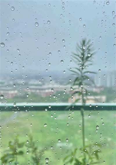 终于下雨了！杭州今天降水更明显 部分城区有中到大雨