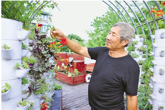打造花路扮靓社区，杭州种植达人蒋金根——花迎亚运手有余香