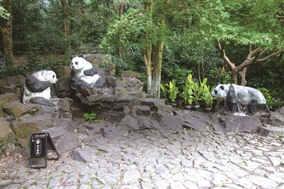 杭州动物园这三只大熊猫，你见过吗？它的作者是中国动物雕塑艺术奠基者
