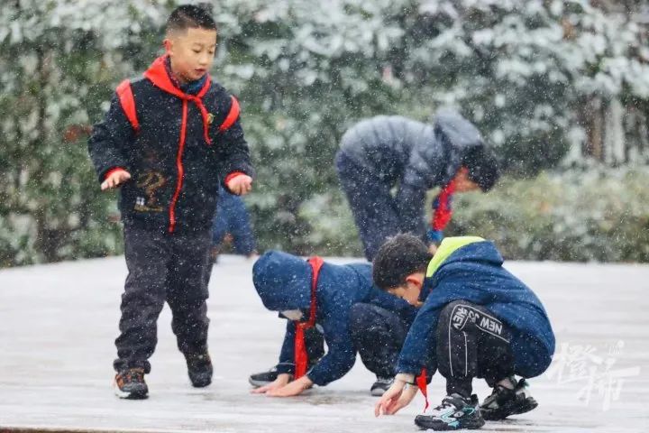 最低-8℃，道路结冰预警！杭州再发风险提示