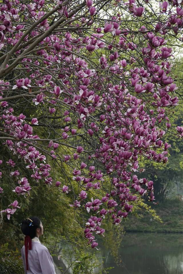 fb92ccfc4e534306d211e41e36de8c72_resize,w_640.jpg fb92ccfc4e534306d211e41e36de8c72_resize,w_640.jpg