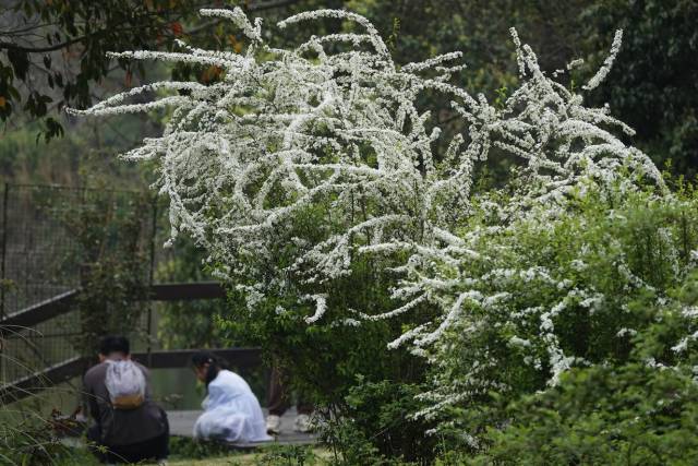 ccae2618d7cb66176e2beb182f24045a_resize,w_640.jpg ccae2618d7cb66176e2beb182f24045a_resize,w_640.jpg