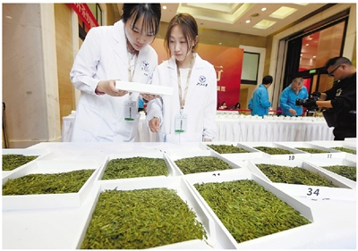 看得见 摸得着 闻得到 首个龙井茶国家标准样品在杭州发布