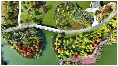 海绵之城 绿色攀登 杭州加快探索打造超大城市海绵城市建设示范样板