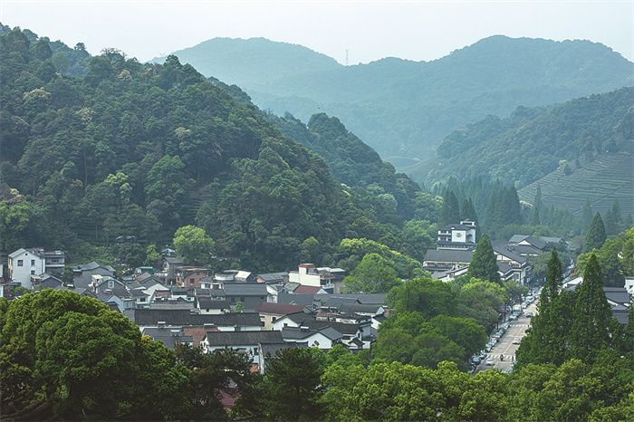 龙井村山路
