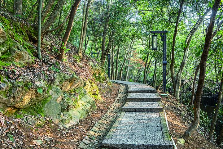 马家坞登山道 本版摄影 记者 陈中秋