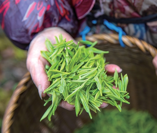 记者 陈中秋 摄