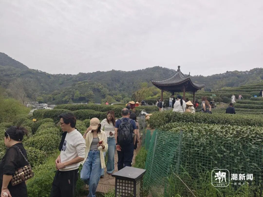 记者 杨云寒 摄