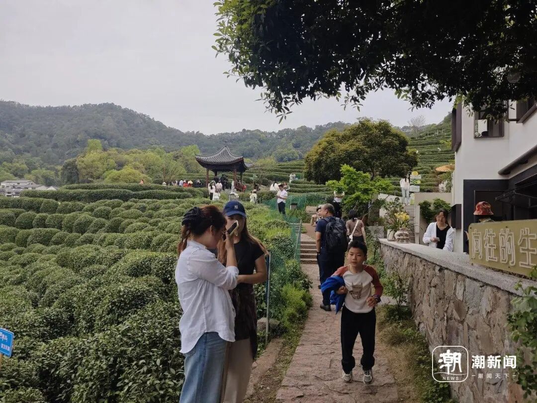 记者 杨云寒 摄