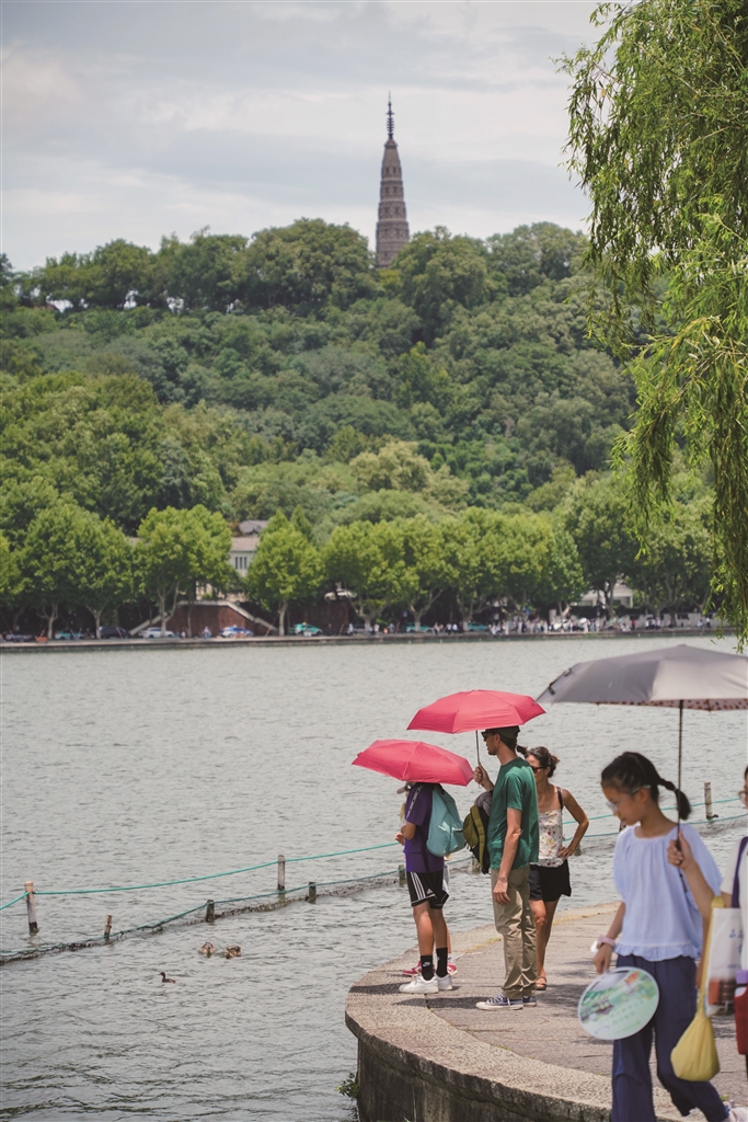 图为昨天下午游客在烈日下游览西湖。每日商报记者 项凯 摄影