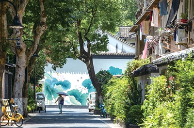荷花池头