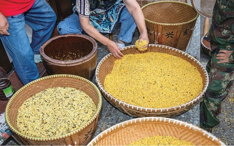 桂花经过初筛、二筛、细筛挑拣后,加入青梅卤入缸腌制。