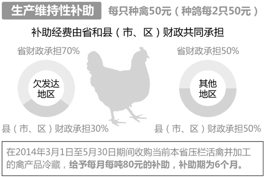 省政府实施紧急救助 浙江要拉家禽业一把