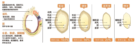 以前大米放一周左右就有小虫飞 现在的大米为何不生虫