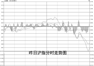 上午“涨百只” 下午“泻停封” A股暴跌凸显杠杆双刃剑效应