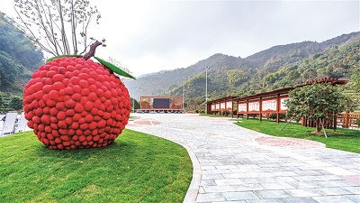 萧山日报讯 六月杨梅红满天,又是一年采摘时.