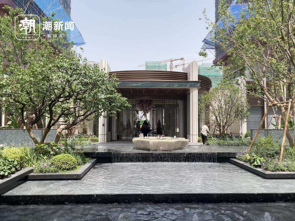 岸芷丁香实景 武恒光/摄