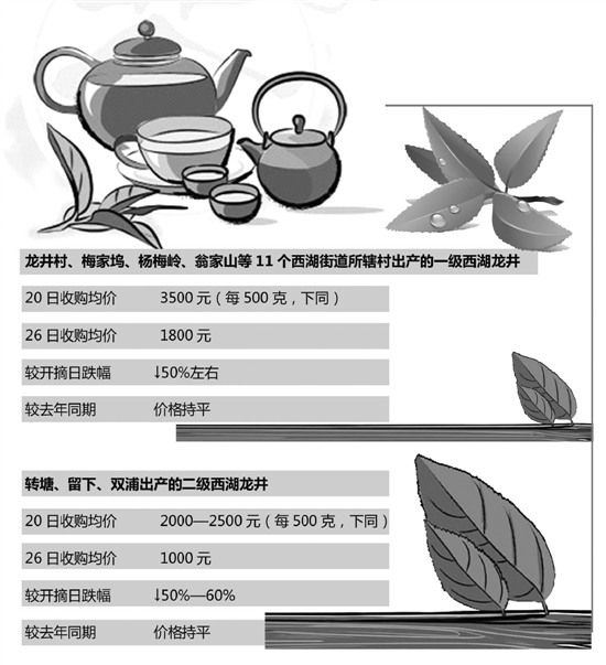 西湖龙井开摘已近一周 零售价小幅下跌