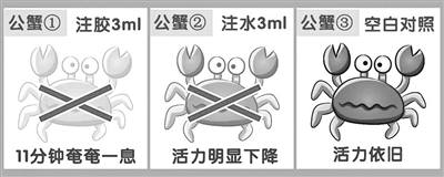 有人拍视频质疑蟹膏是胶水 台州椒江市场监管局实验回应