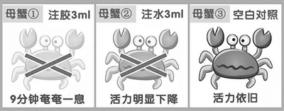 有人拍视频质疑蟹膏是胶水 台州椒江市场监管局实验回应