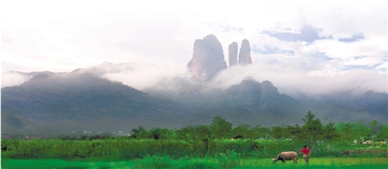 晨曦中的巍巍江郎山