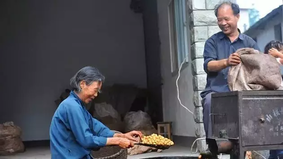 这种杭州产的网红零食收获季来了 吃货们赶紧行动！