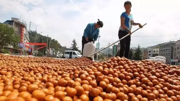 这种杭州产的网红零食收获季来了 吃货们赶紧行动！