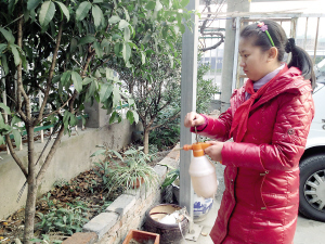 小学女生有一个“秘密花园”