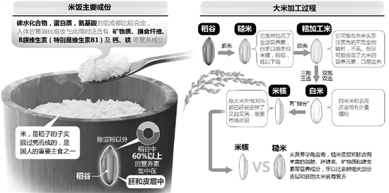 米走上我们餐桌时，因为加工，确实也存在营养流失。梁津铭/制图