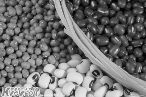 儿童乐园里决明子存在误入风险　杭州已发生小孩塞入耳道全麻取出病例