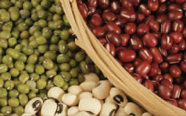 儿童乐园里决明子存在误入风险　杭州已发生小孩塞入耳道全麻取出病例