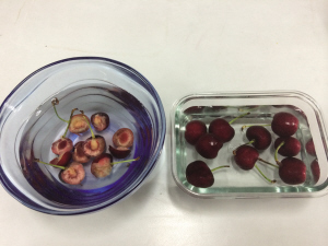 网传车厘子泡出小虫 车厘子是否蒙受了不白之冤？