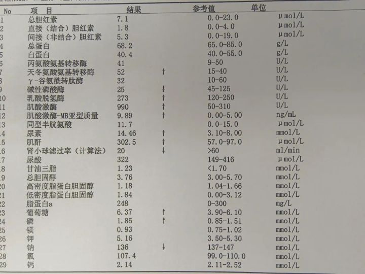 抽血化验报告单图片图片