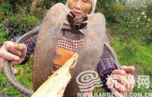 夺命野猪夹 淳安深山困死一男子