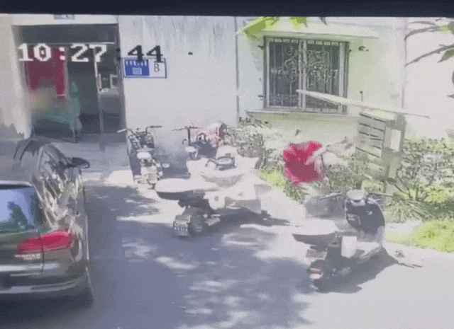 GIF.gif