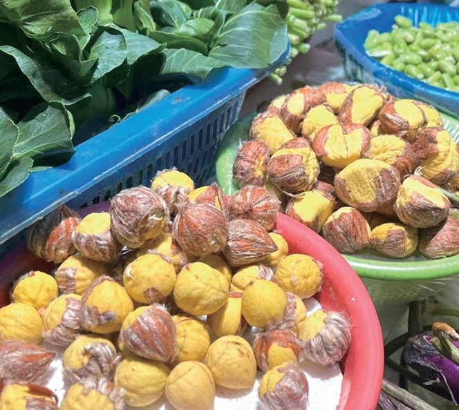 板栗 记者 孙蒨 摄