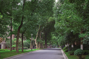 多层老小区装电梯，这个路走得真当曲折！和家园·求是里的“电梯赌约”