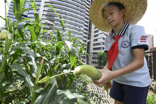 收获果实分享喜悦