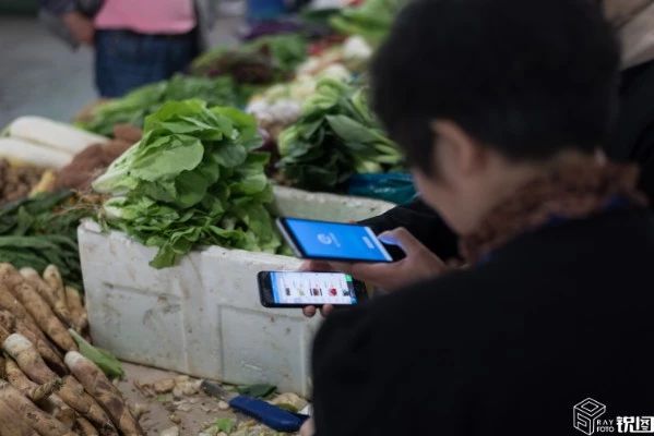 徐芳芳,蔬菜,杭州,白血病,吴奕轩,卖菜奶奶 徐芳芳,蔬菜,杭州,白血病,吴奕轩,卖菜奶奶