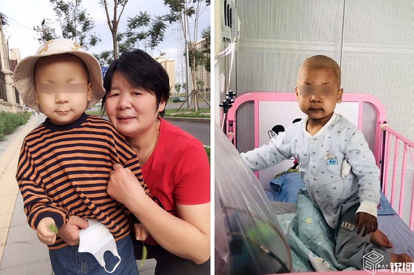 徐芳芳,蔬菜,杭州,白血病,吴奕轩,卖菜奶奶 徐芳芳,蔬菜,杭州,白血病,吴奕轩,卖菜奶奶