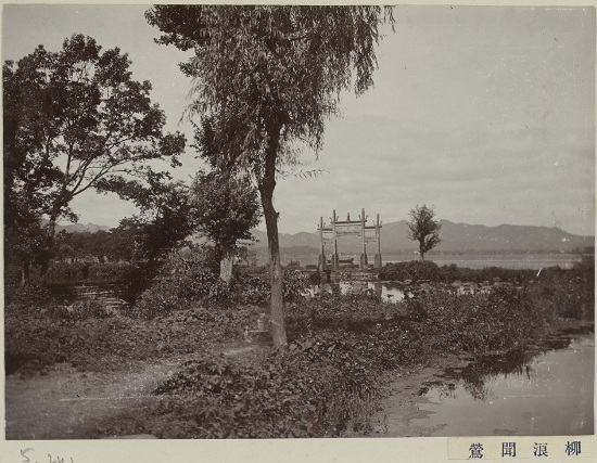 一个杭州女孩镜头下的百年西湖