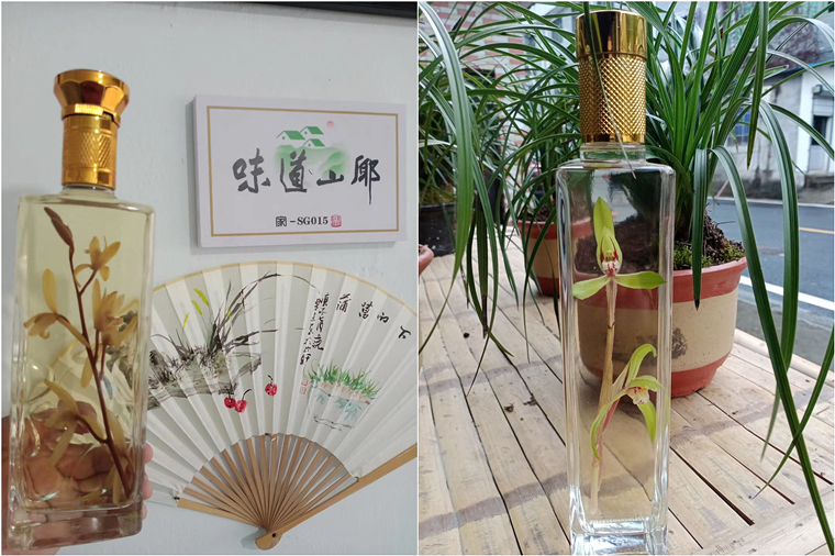 兰花,屈原,富阳兰花,爱国兰花,上官乡